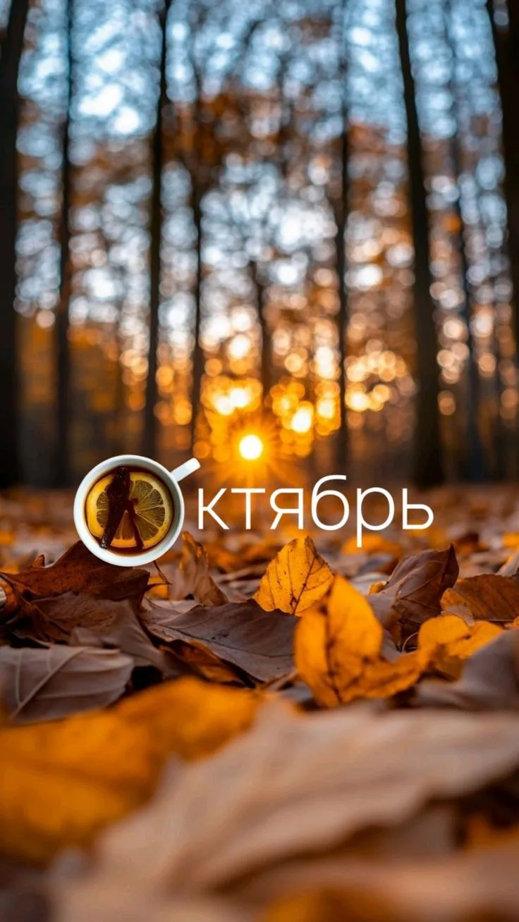 С началом октября! 🍂