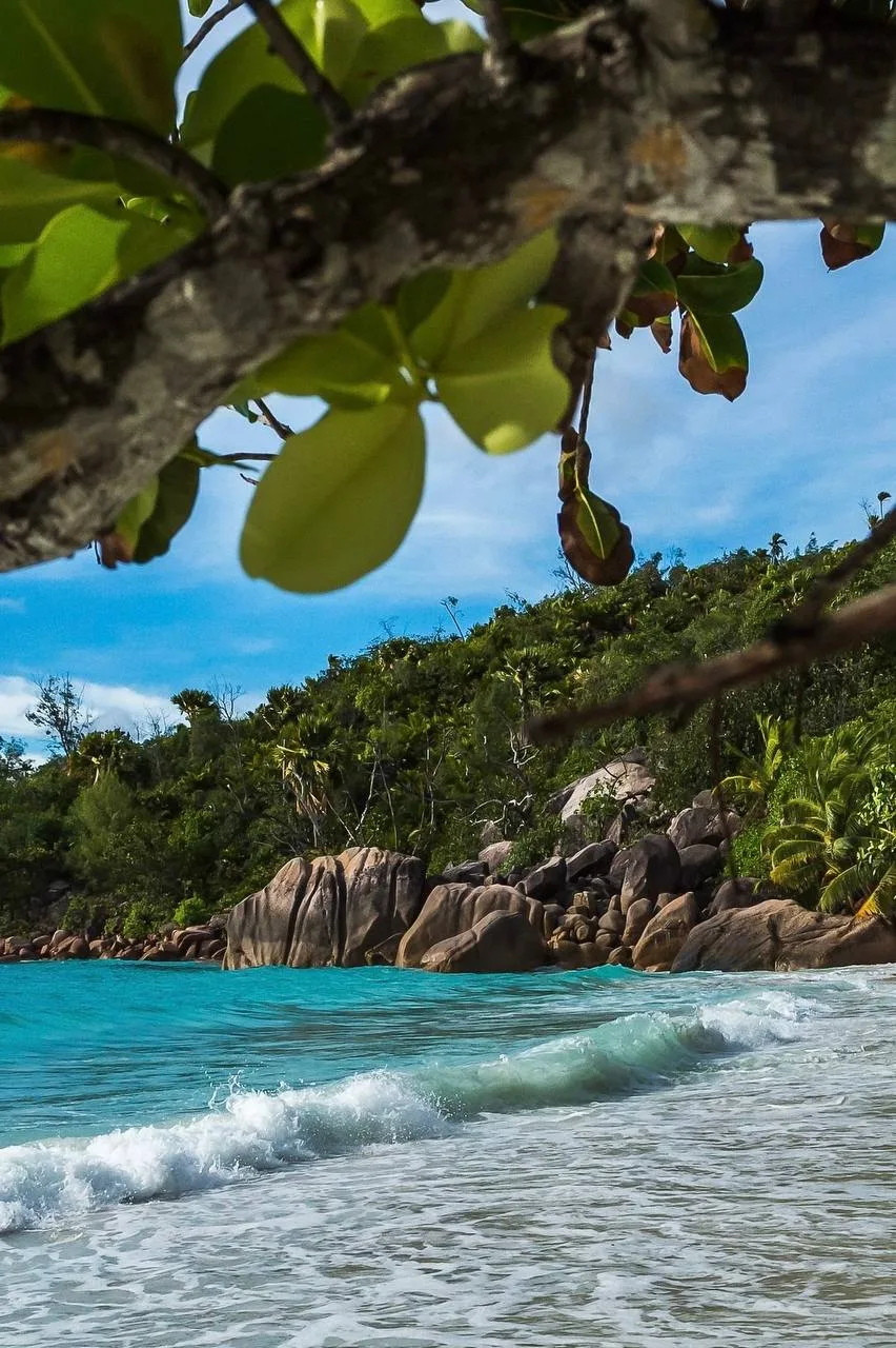 🥥 Сейшелы, ради которых и летят на Маэ 😍