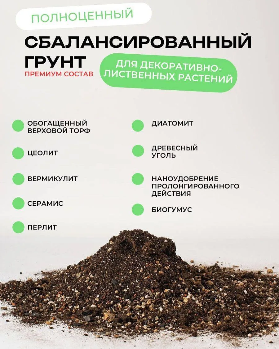 Грунт