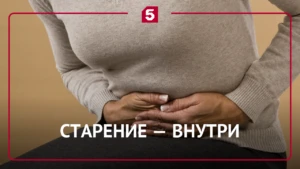 Секретный штаб вечной молодости: почему паспортный возраст зависит от квашеной капусты