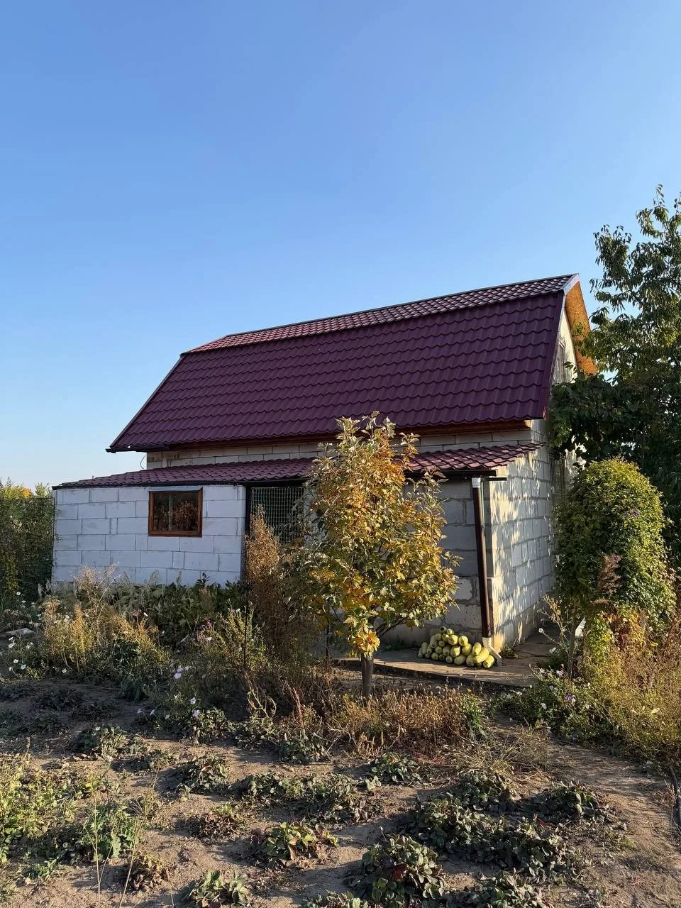 Продаётся СНТ Пролисок, (р-н Юбилейного) домик 50 кв метров, 12 соток земли, участок ро...