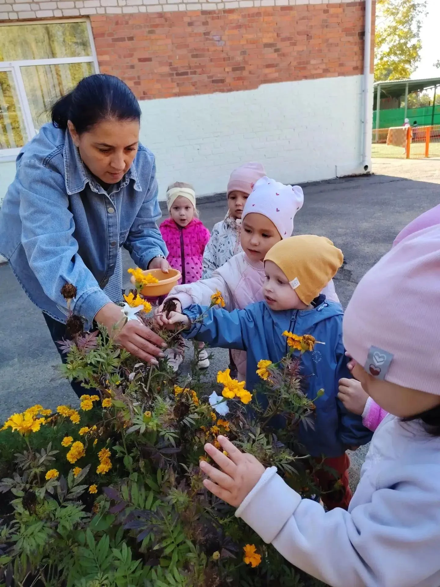 Маленькие помощники осени: как младшая группа собирает семена цветов🌼🍂