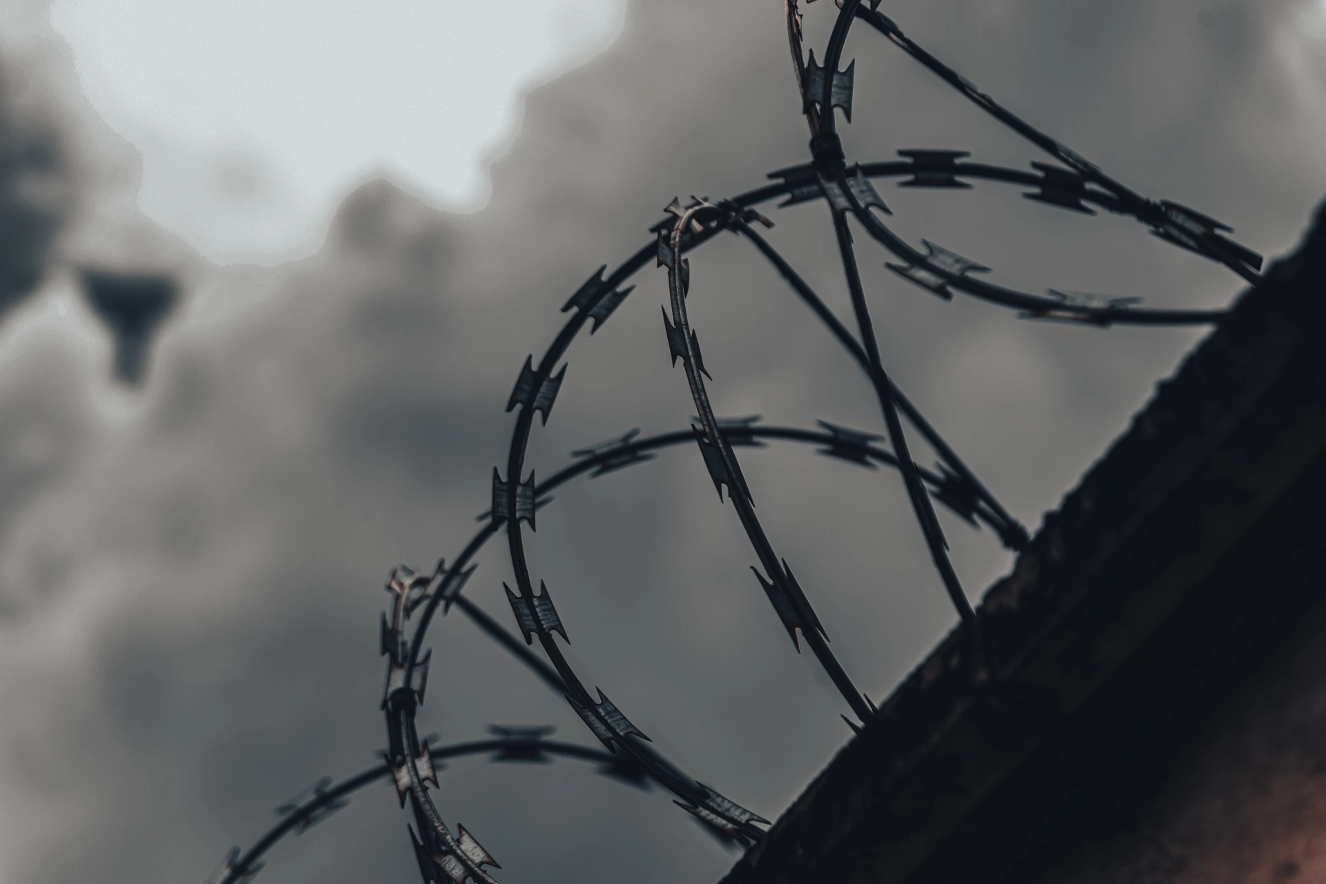 ⚖️ В Майминском районе экс-чиновницу и ее сожителя приговорили к 9 и 8 годам колонии
