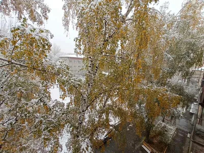 А у нас сегодня первый снег❄️❄️