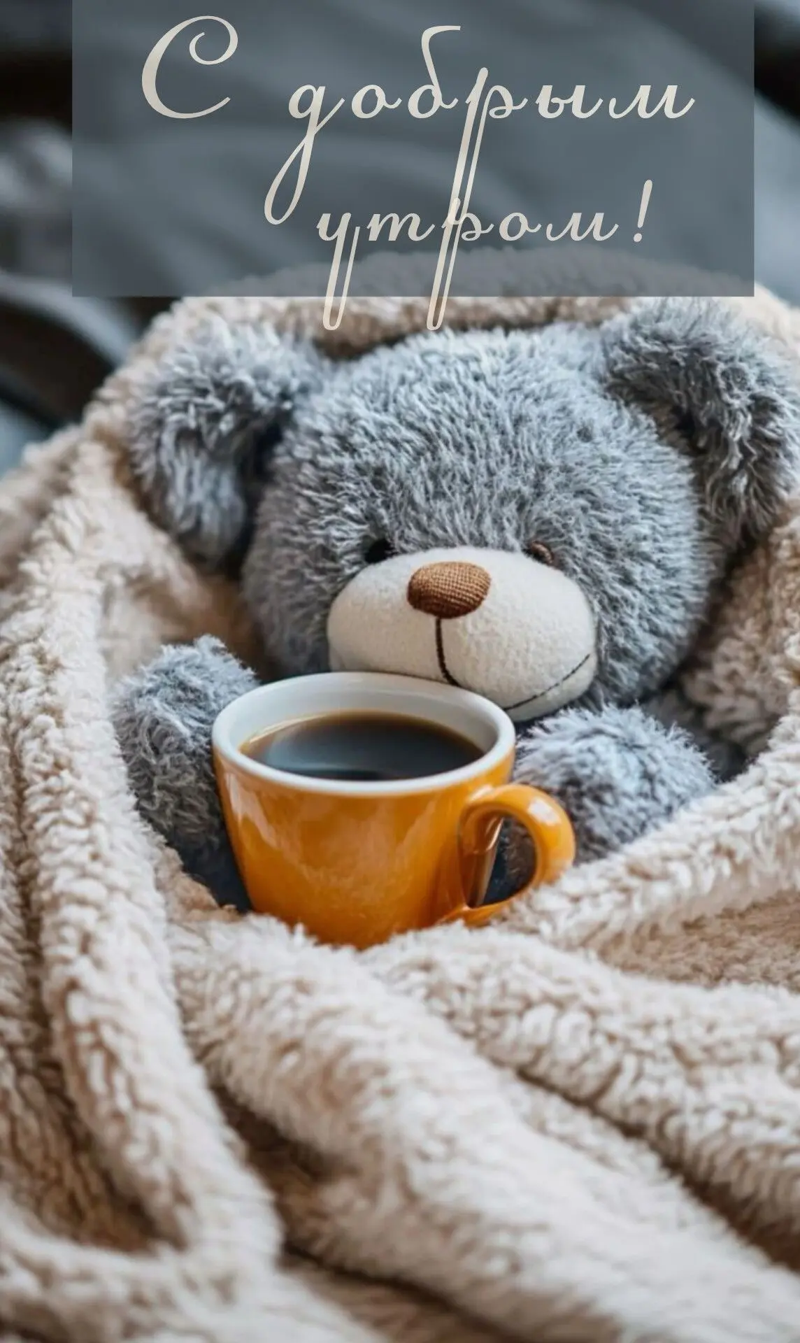Доброе утро!☕️🐻