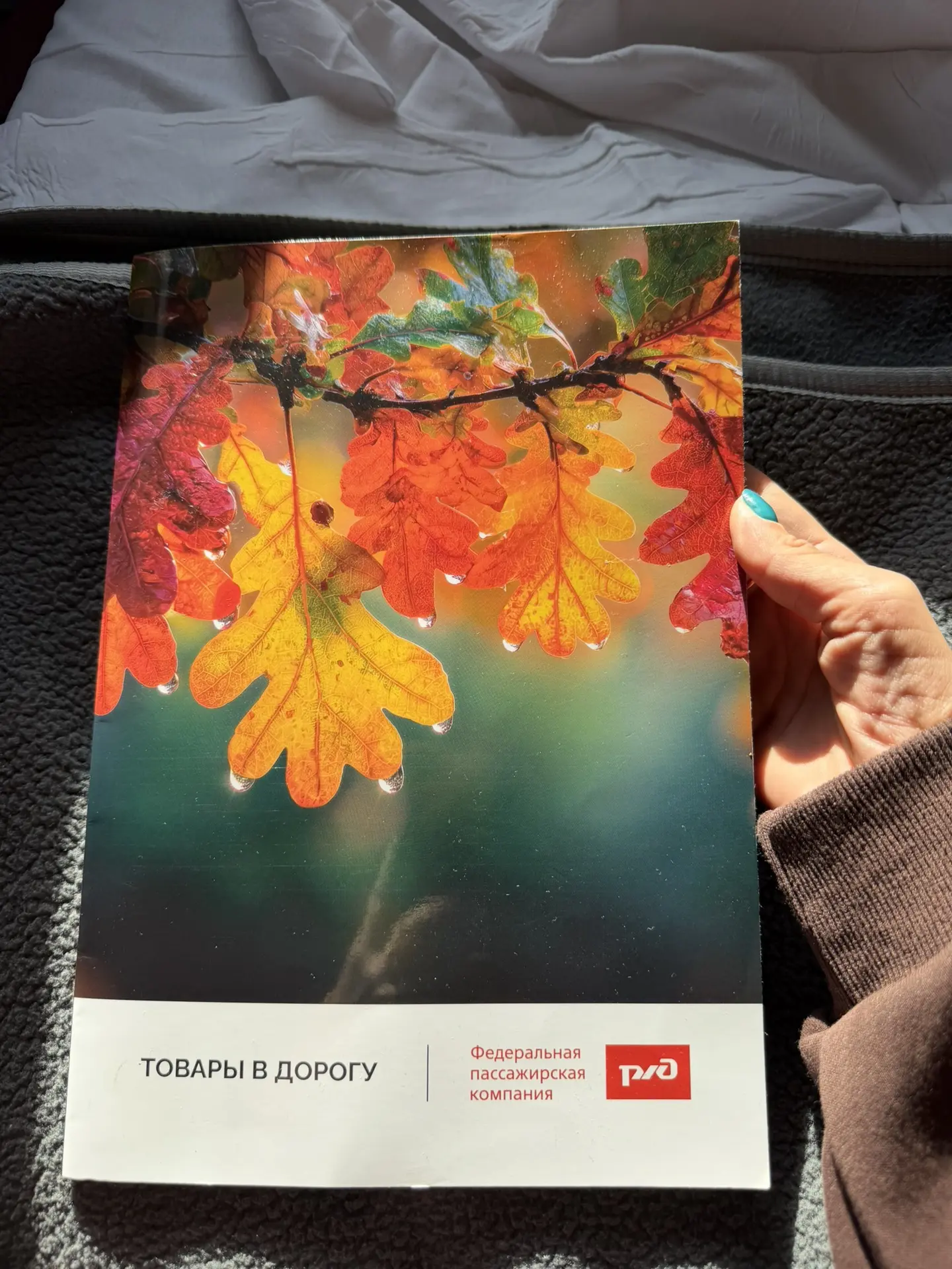 Последний раз в поезде ездила наверно в детстве, когда жила с бабушкой
