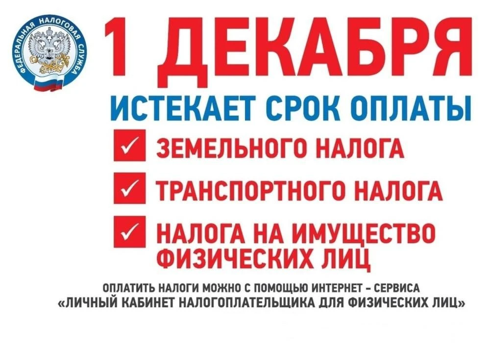 Менее двух месяцев: жителям напоминают об уплате имущественных налогов