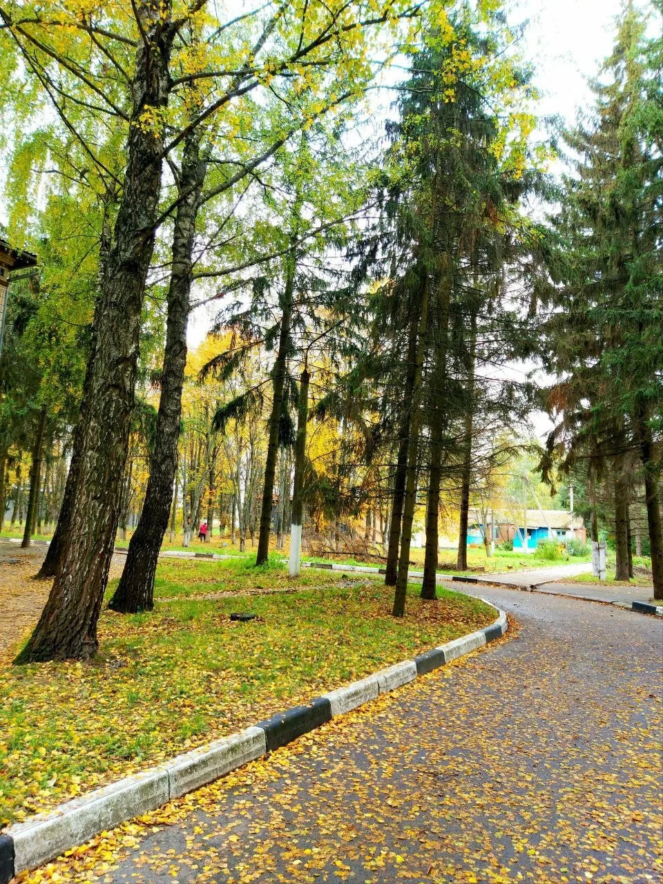 С добрым утром Суджанский район и все, кто нас читает! 🍁