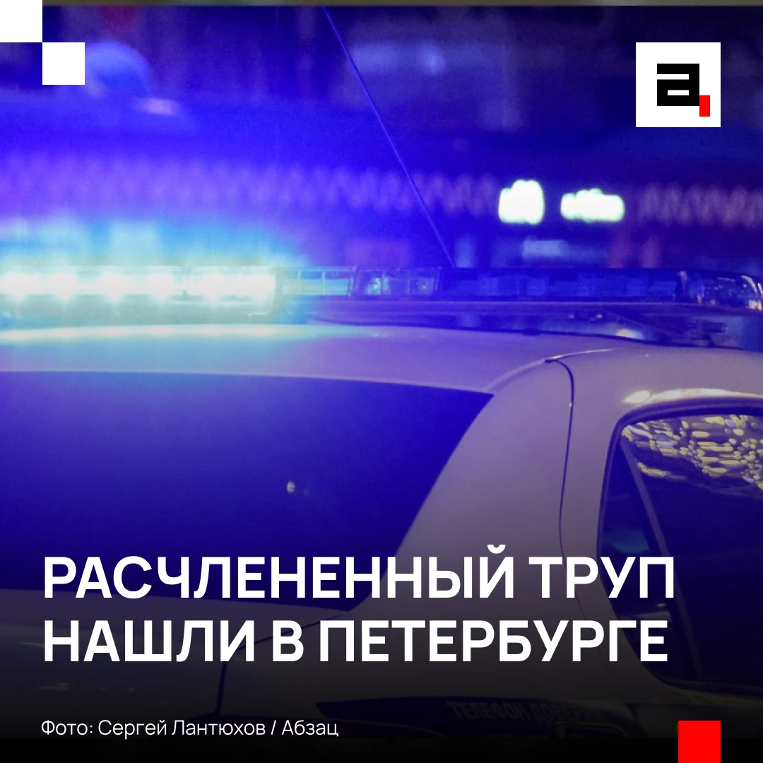 Сумку с расчлененным и разложившимся телом нашли на окраине Петербурга