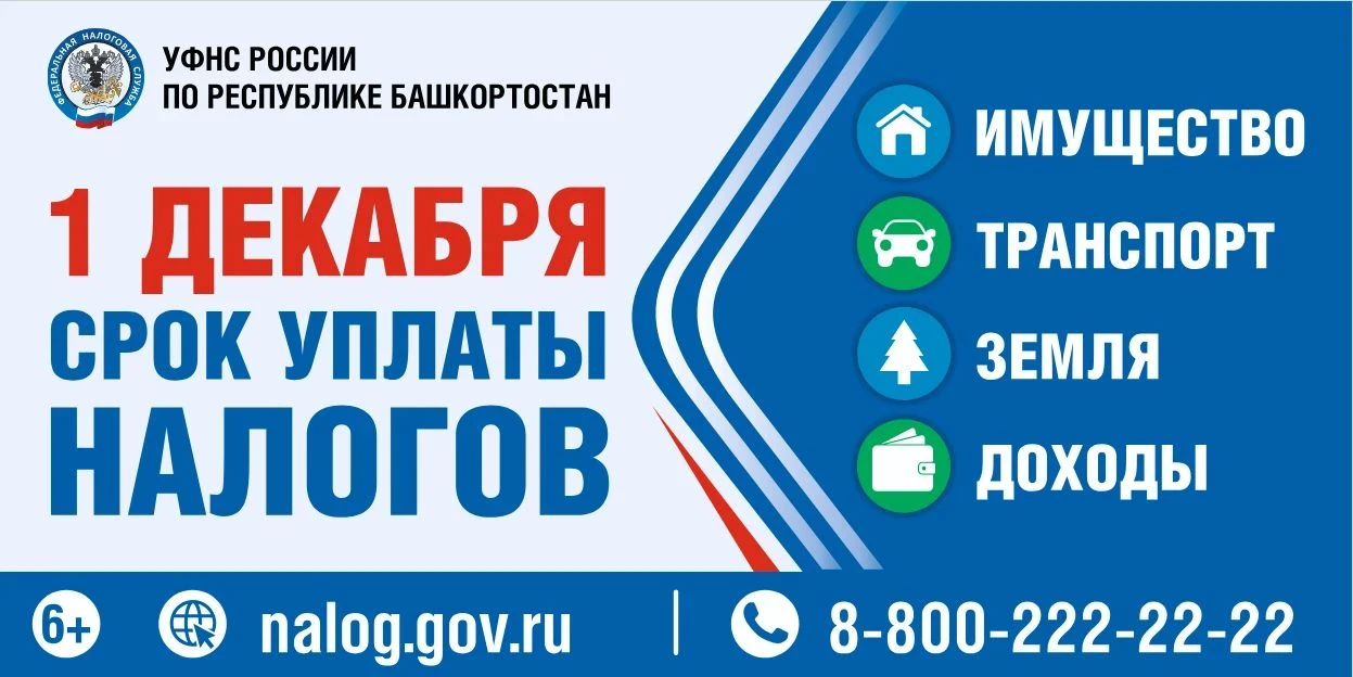 ⏰ Не забудьте про налоги!