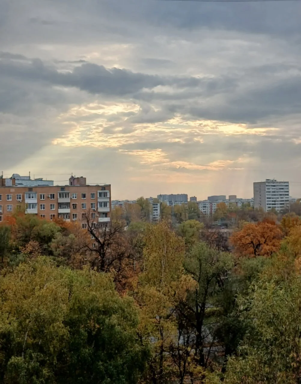 Смотрим на утренний Свободный проспект этой осенью вместе с фотографией от Ольги Охошин...