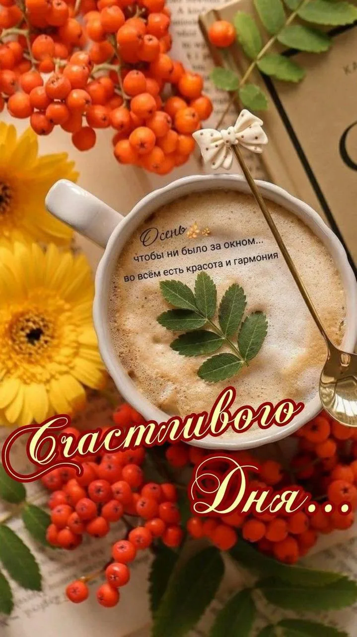 #СчастливогоДня