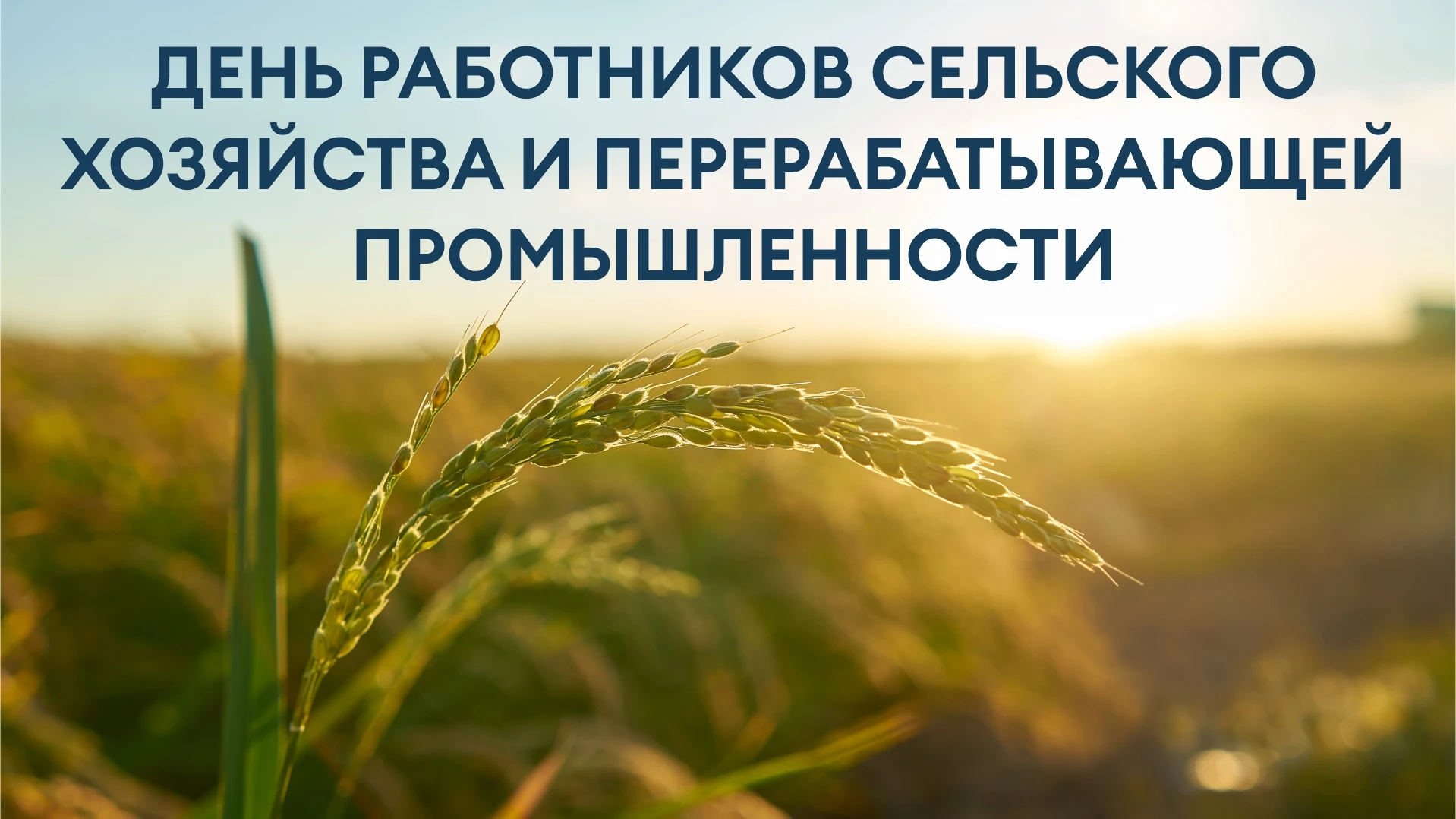 💬 «Уважаемые работники сельского хозяйства и перерабатывающей промышленности! Поздравл...