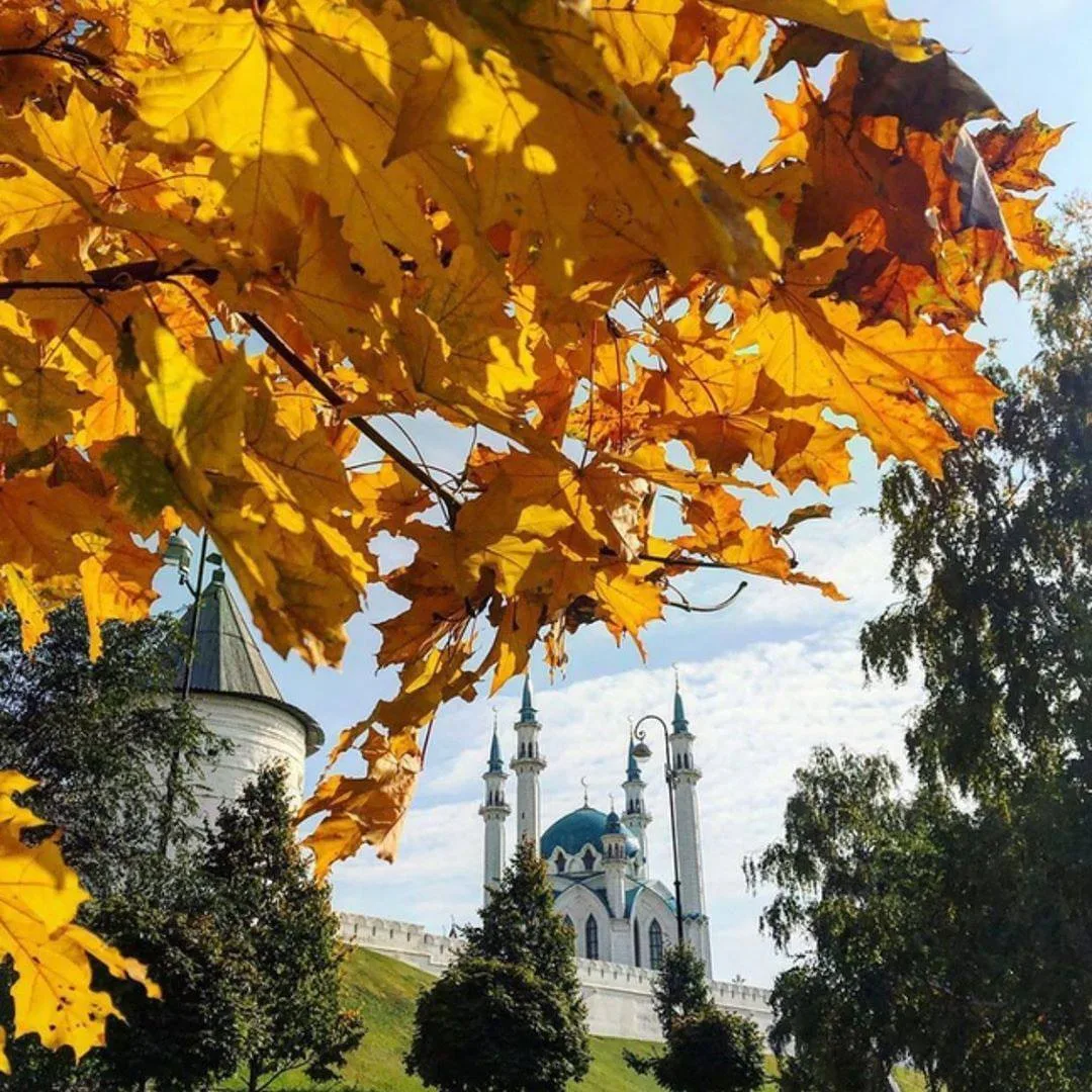 🍁16 октября 2026 года в Татарстане ожидается аномально теплая, комфортная и солнечная ...