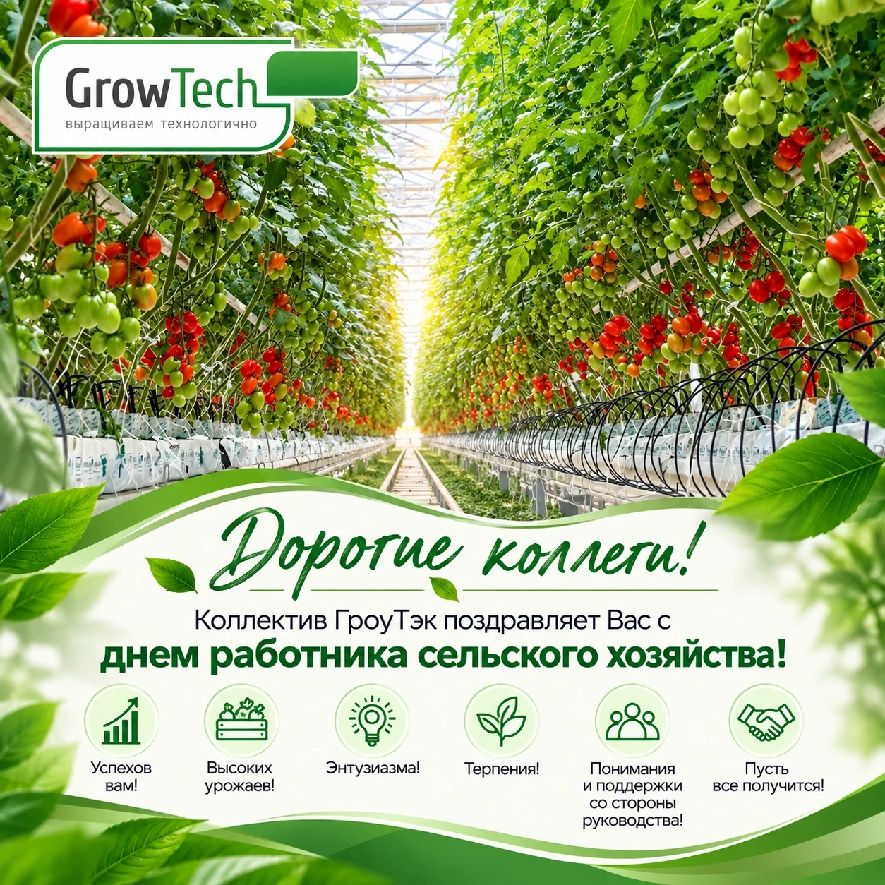 🌱 С Днём работника сельского хозяйства, дорогие наши коллеги, партнеры!