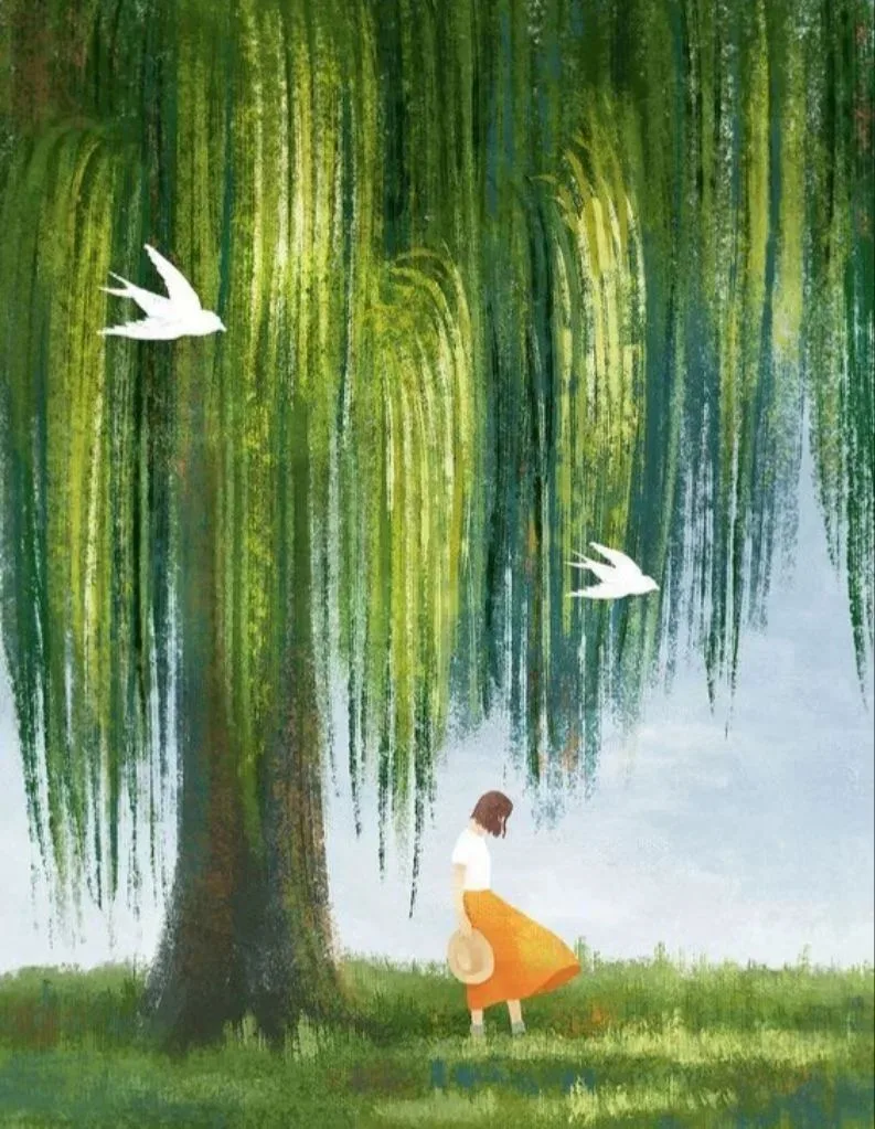🍃🌼🍃🌼🍃🌼🍃