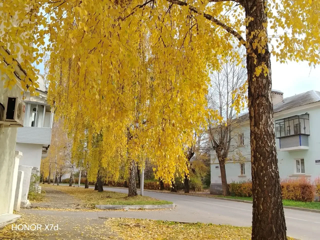 Красота осени 🍂🍁🪵