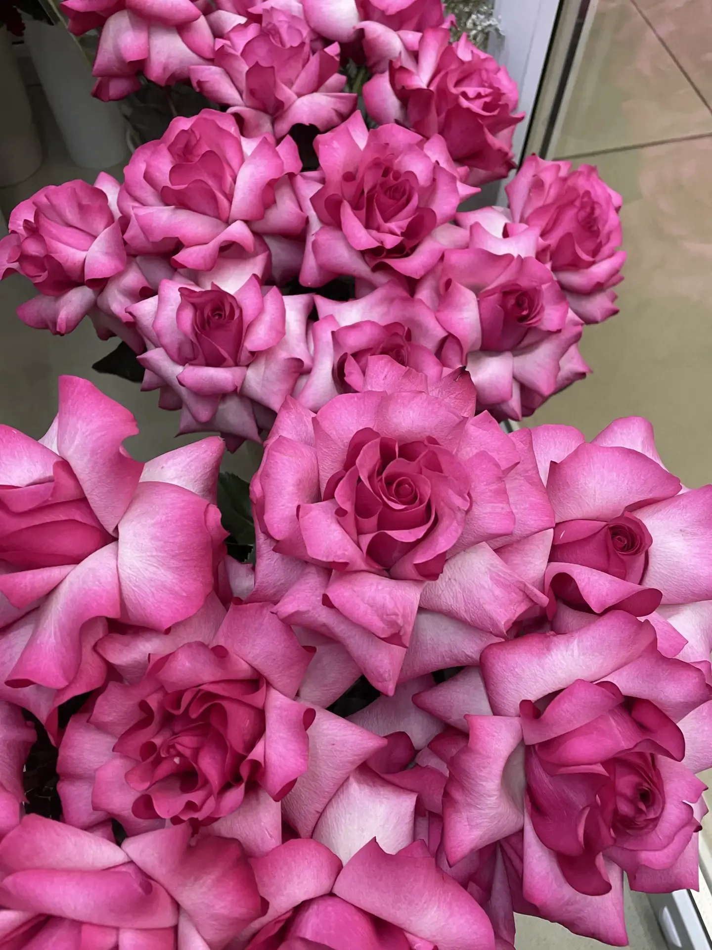🌸 Французская роза — очарование в каждом лепестке 🌸Есть цветы, которые сразу создают ...