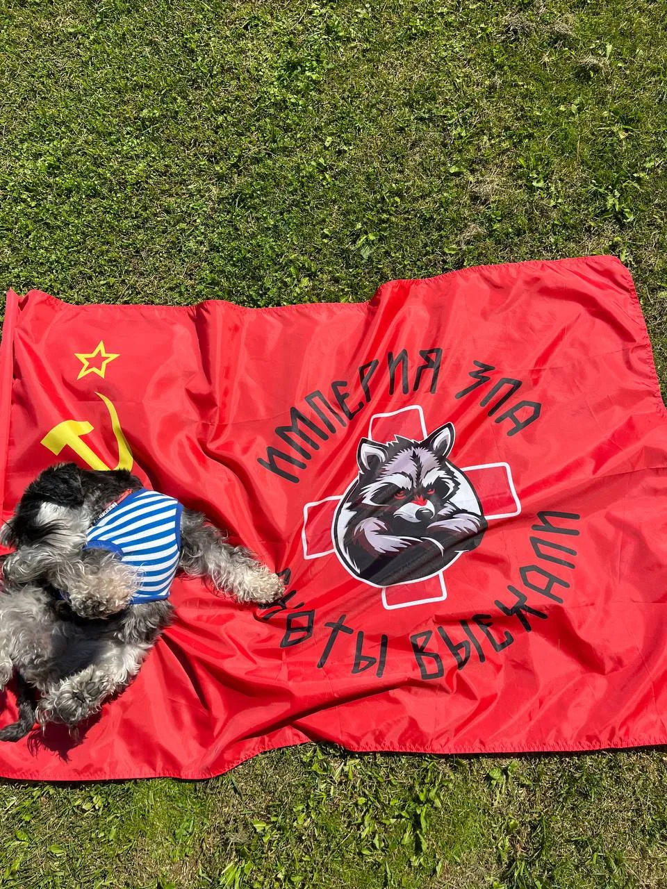 Фонтан есть? А если найду?