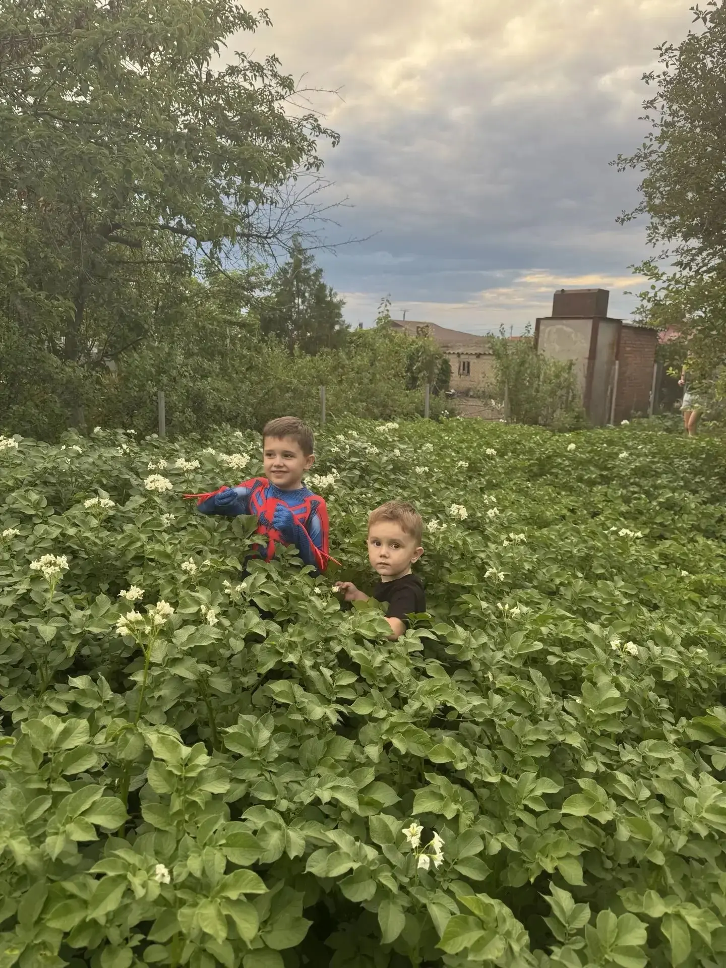 ❤😍👍А это внучата с Севера, в картошке у бабули Вали😁 Ого  картошка вымахала👍😍