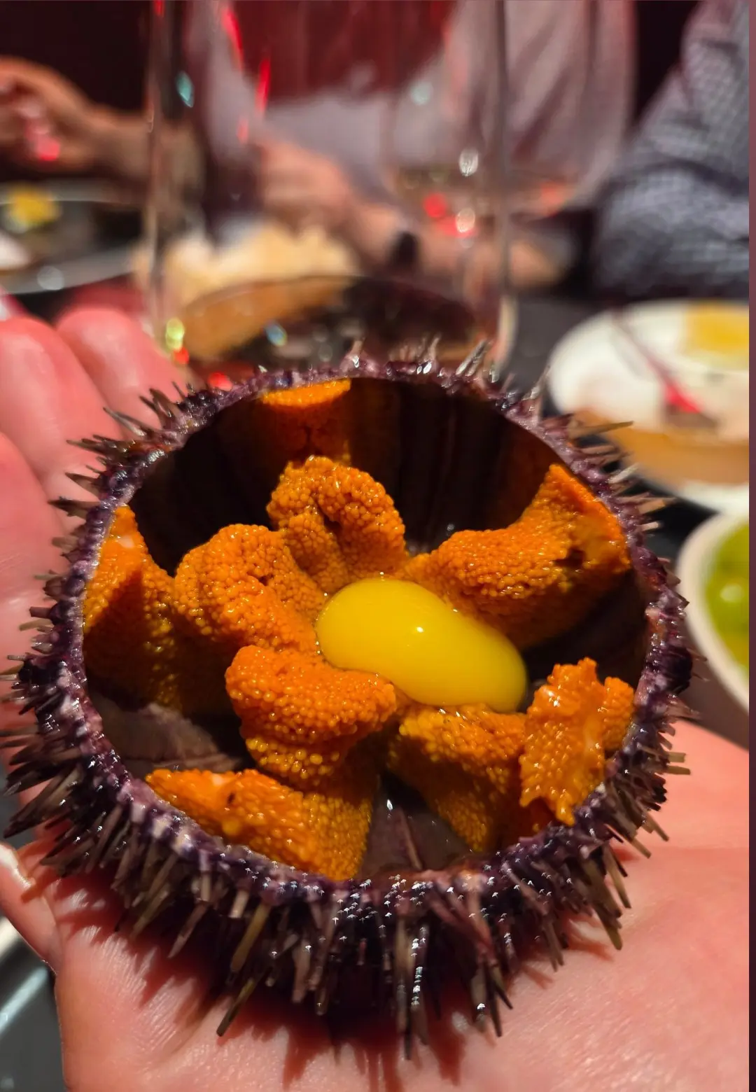🦔 МОРСКОЙ ЁЖ — СЕЗОН В САМОМ РАЗГАРЕ! 🌊