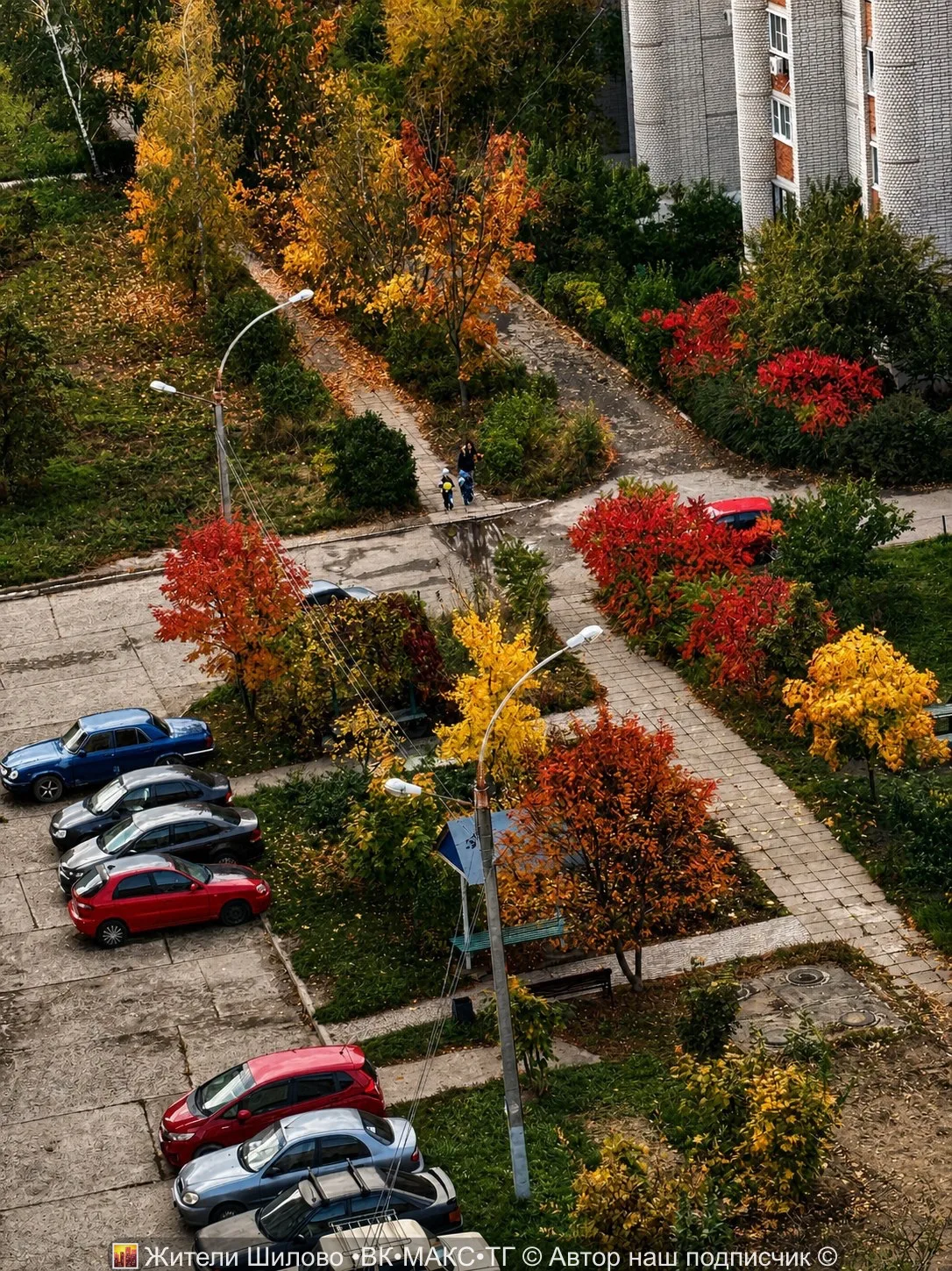 🍁 Какая красивая осенняя панорама в Шилово!😍