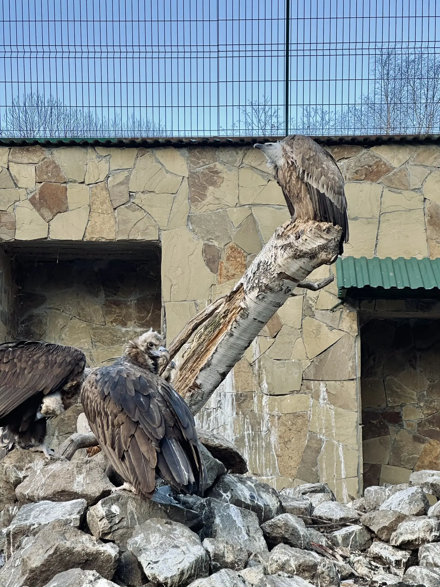 🐻Есть на Кавказе место, где люди смогли сохранить дикую природу, ставшую домом для мно...