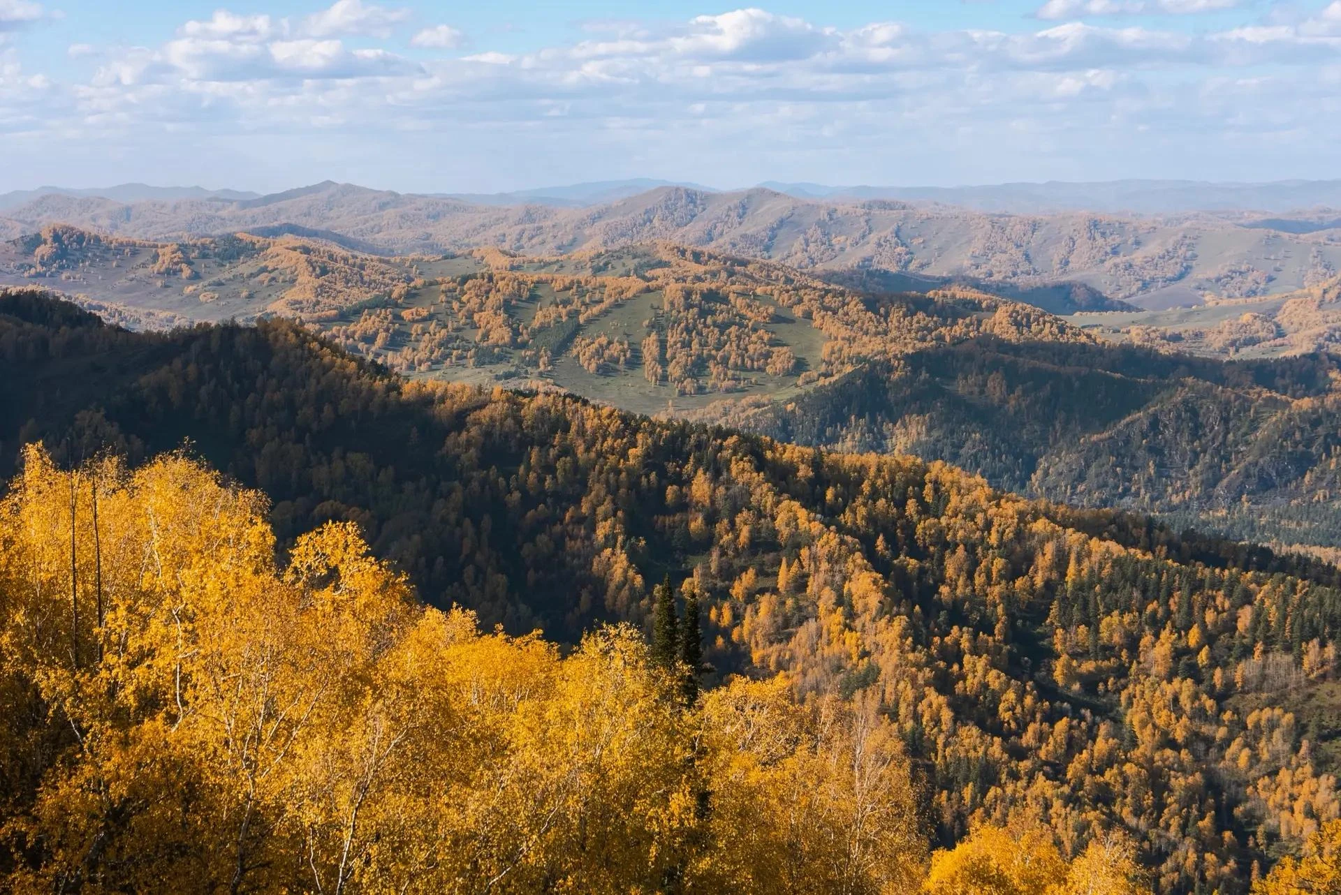 Прекрасного начала недели!🍁
