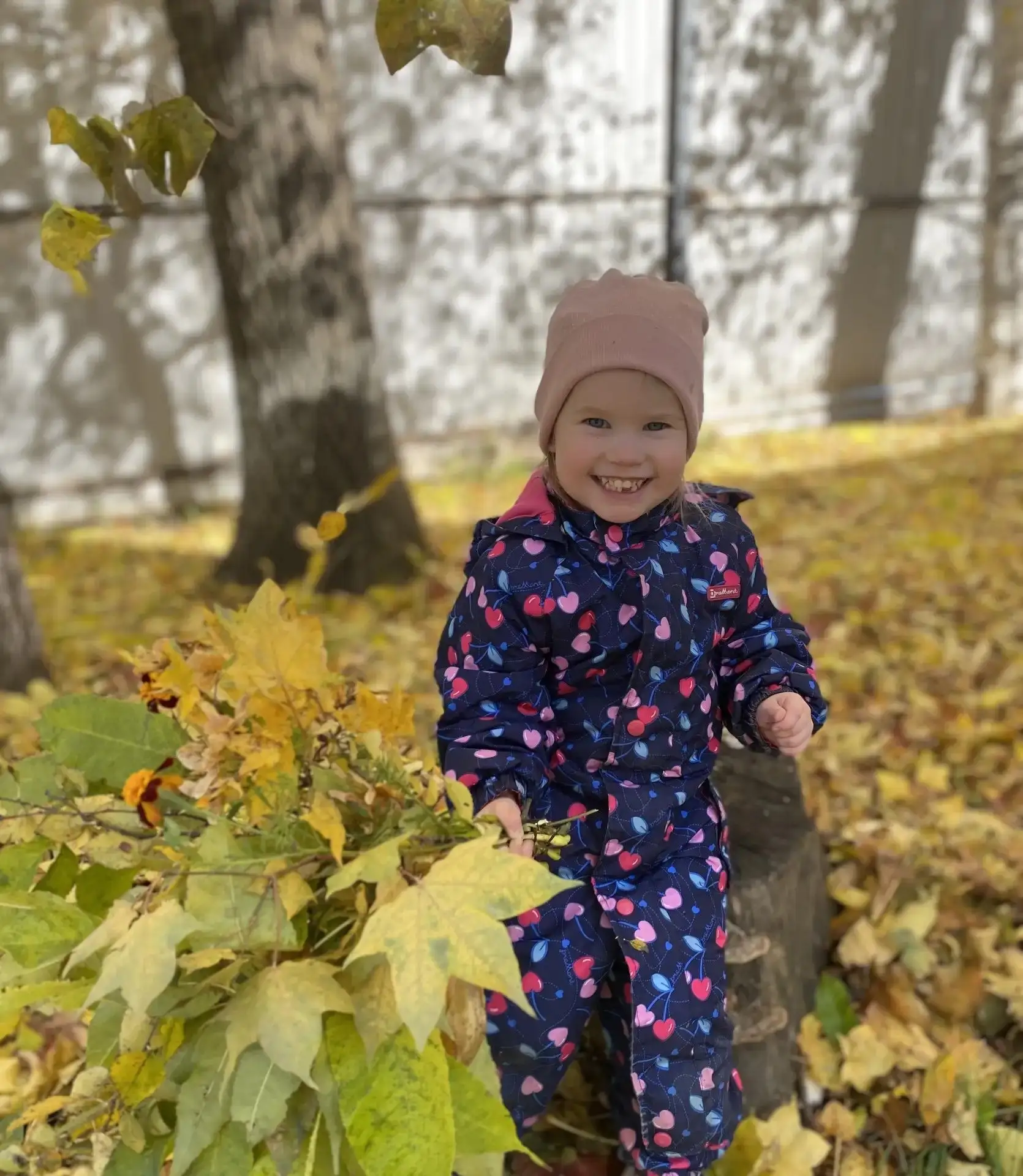 А знаете ли вы что аппликация из сухих листьев🍁🍂🍁- это не просто красивое осеннее тв...