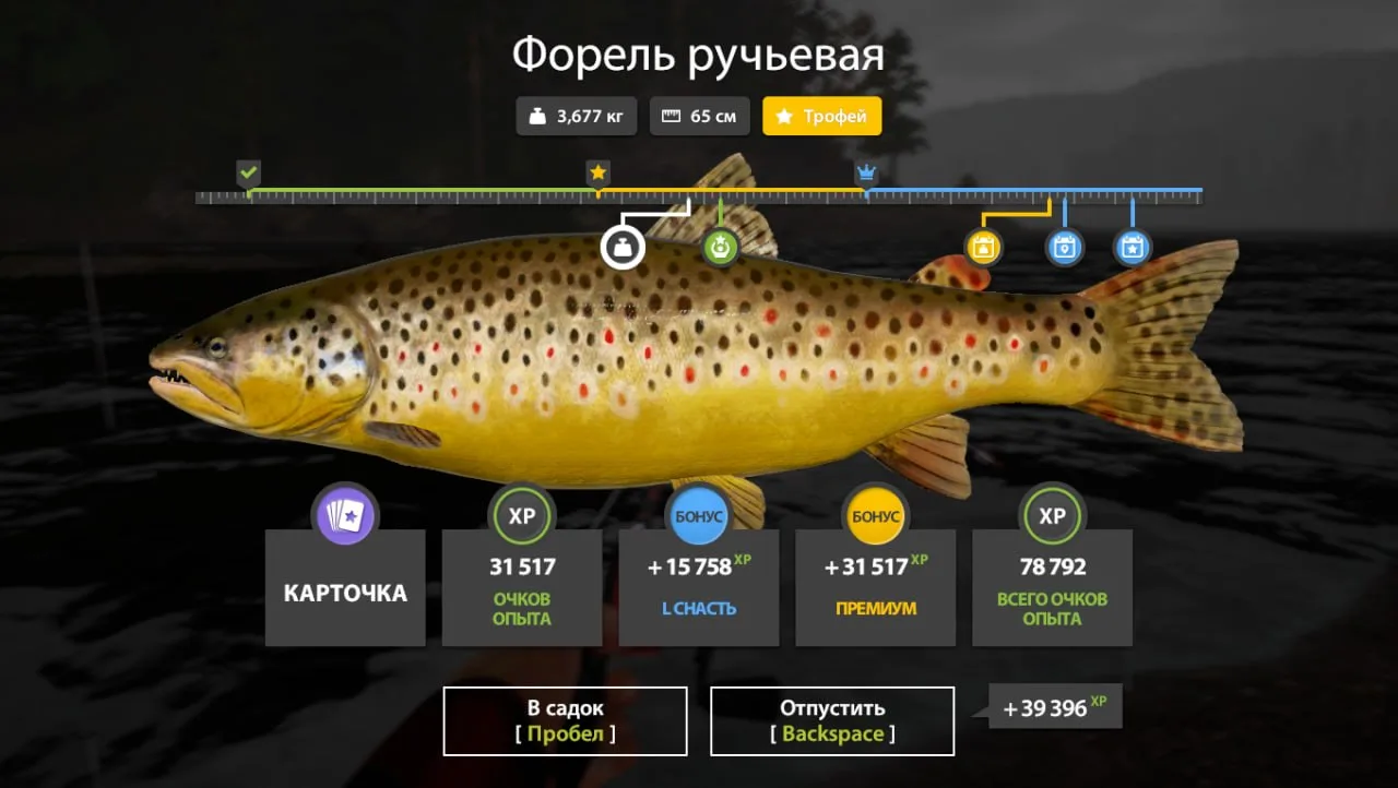 #тунгуска@RF4_Vkluchite_klev