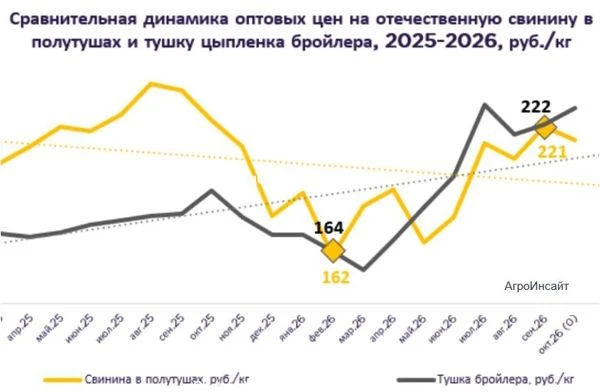 Свинина догоняет бройлера по цене: что происходит на российском рынке мяса