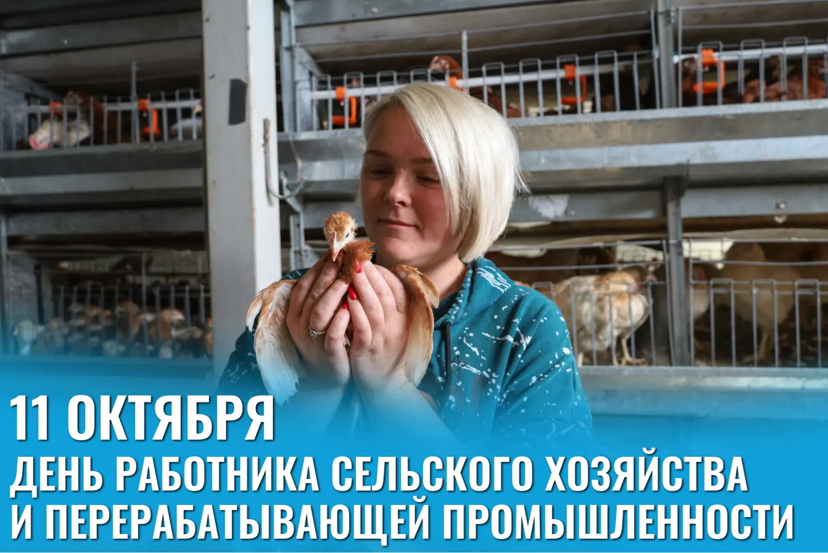 Уважаемые труженики сельского хозяйства и перерабатывающей промышленности Корсаковского...