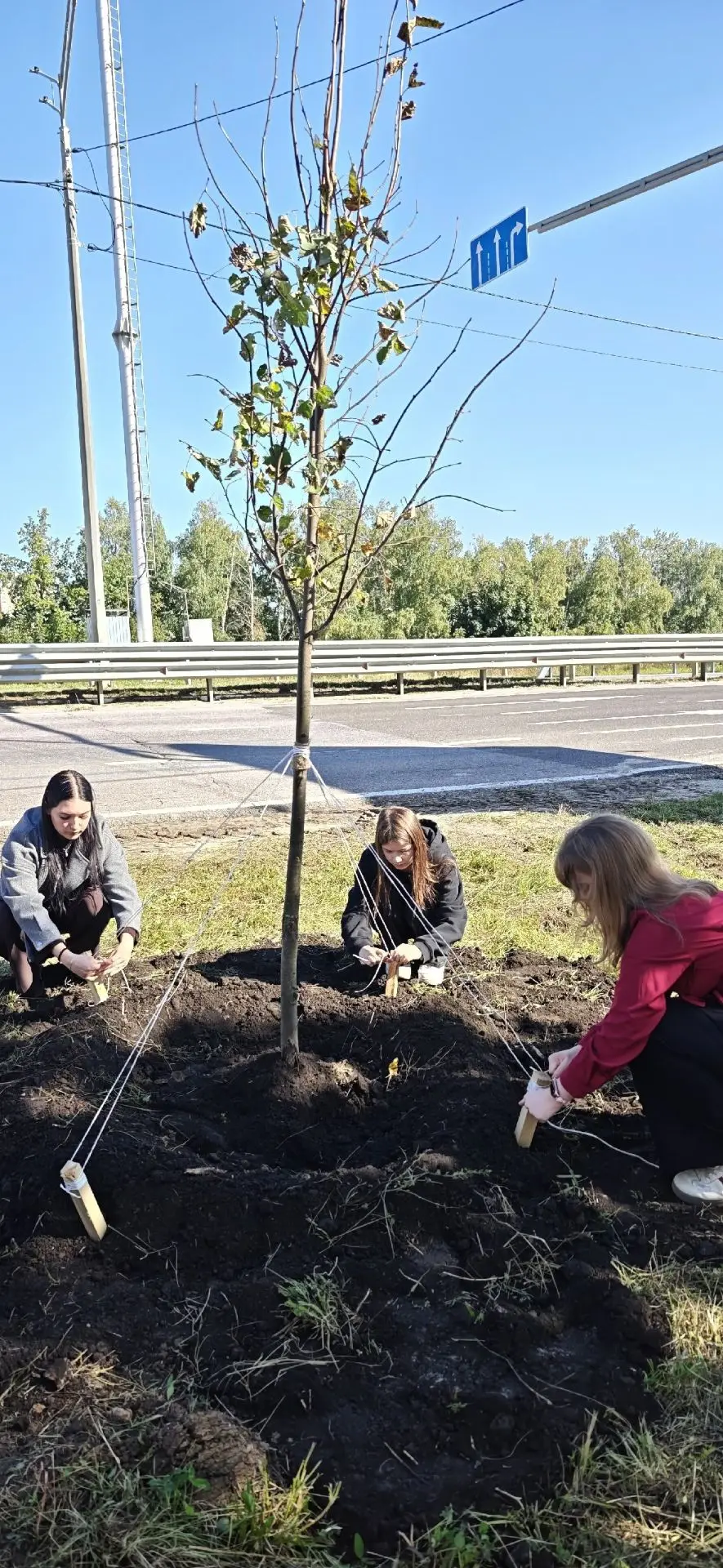 🌳 ЭКОЛКИС: Делаем город зеленее вместе! 🌱