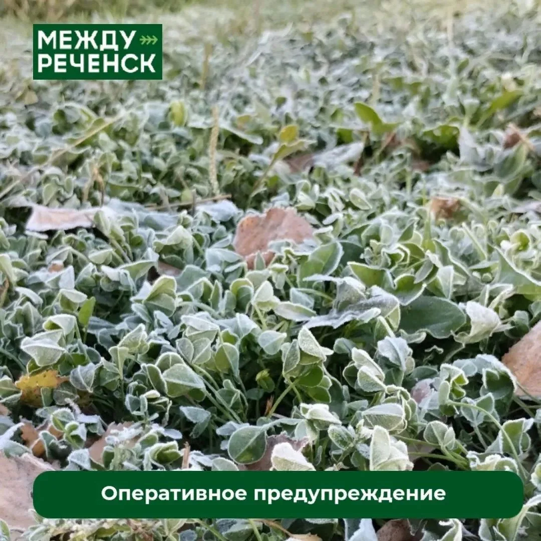 Оперативное предупреждение!