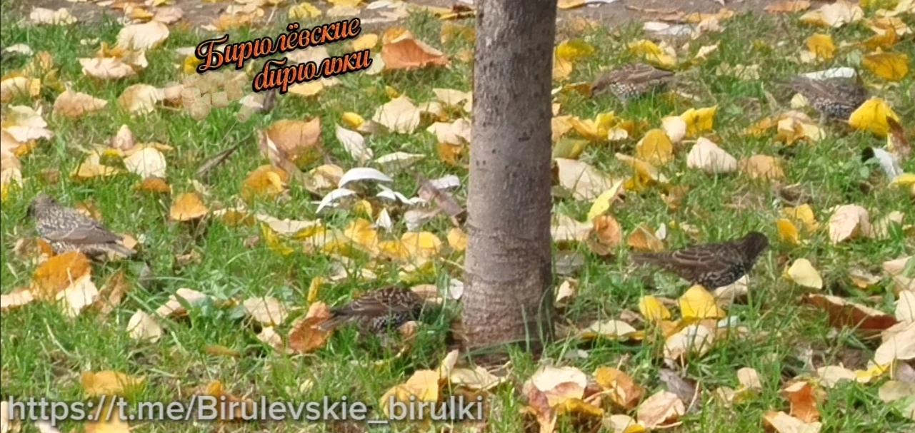 #Милотымногонебывает 🥰