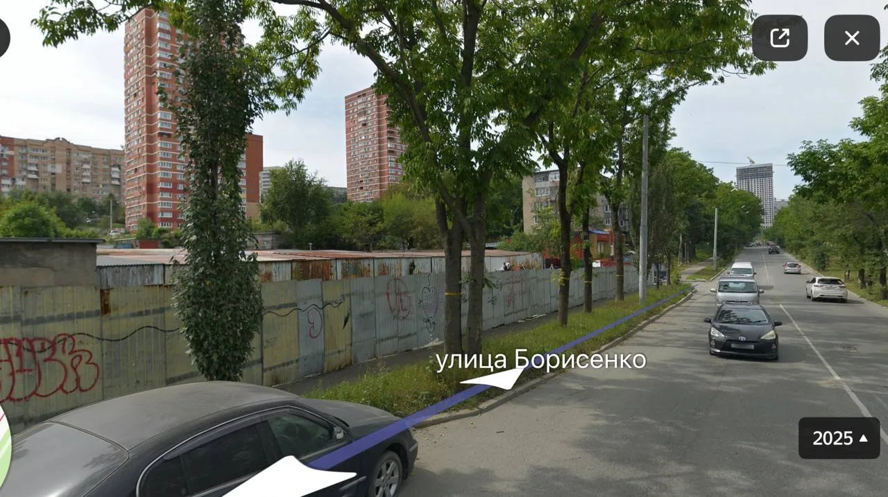 🌳 У соседей с Тихой история, от которой хочется задать очень много вопросов.