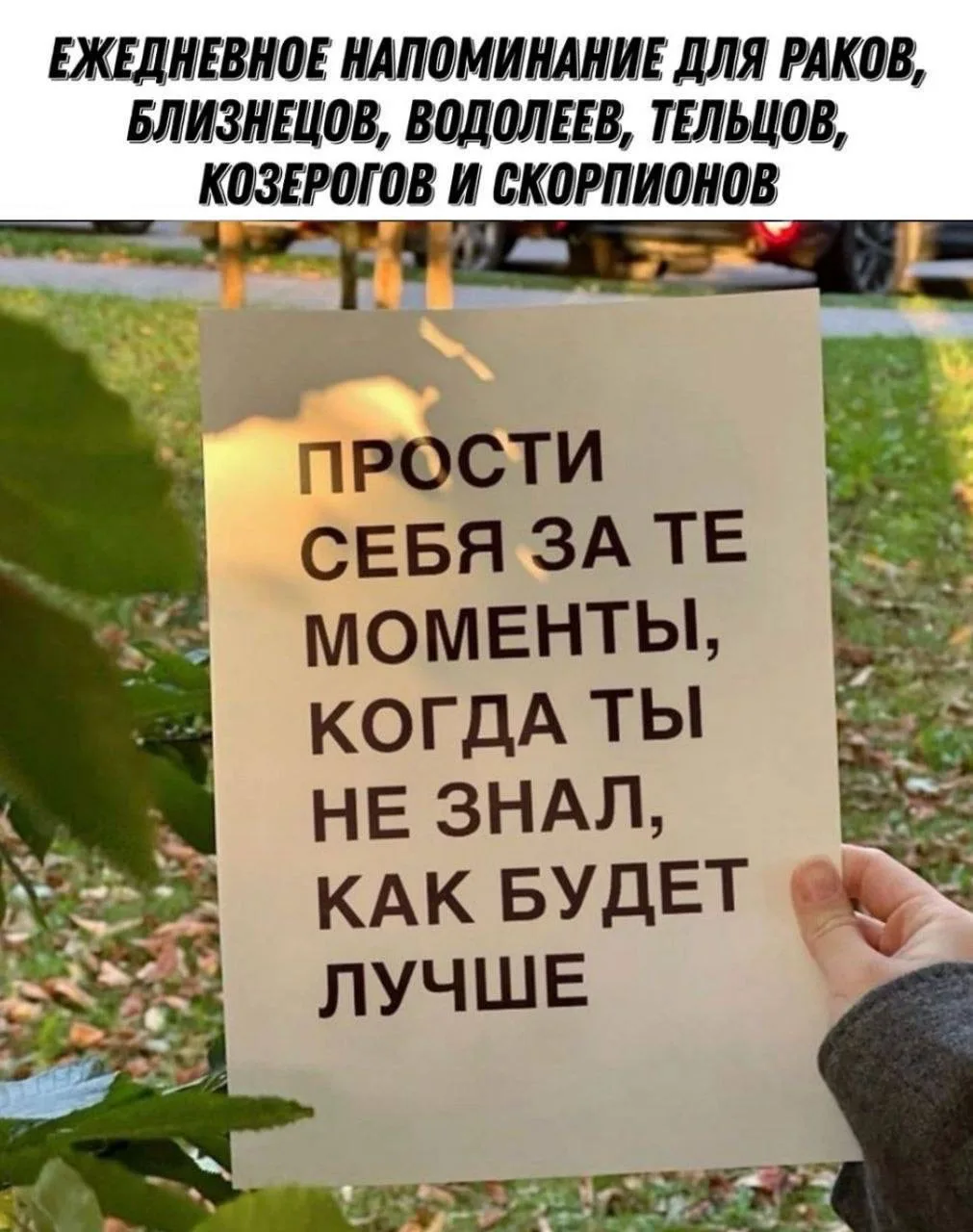 Ежедневное напоминание: