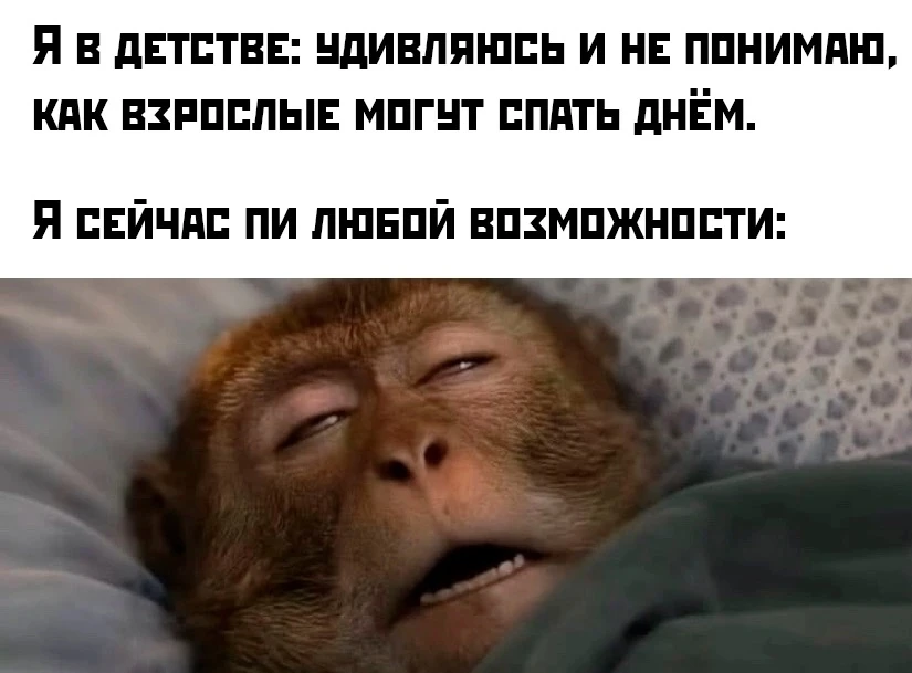 КуЗьМа в ТеМе
