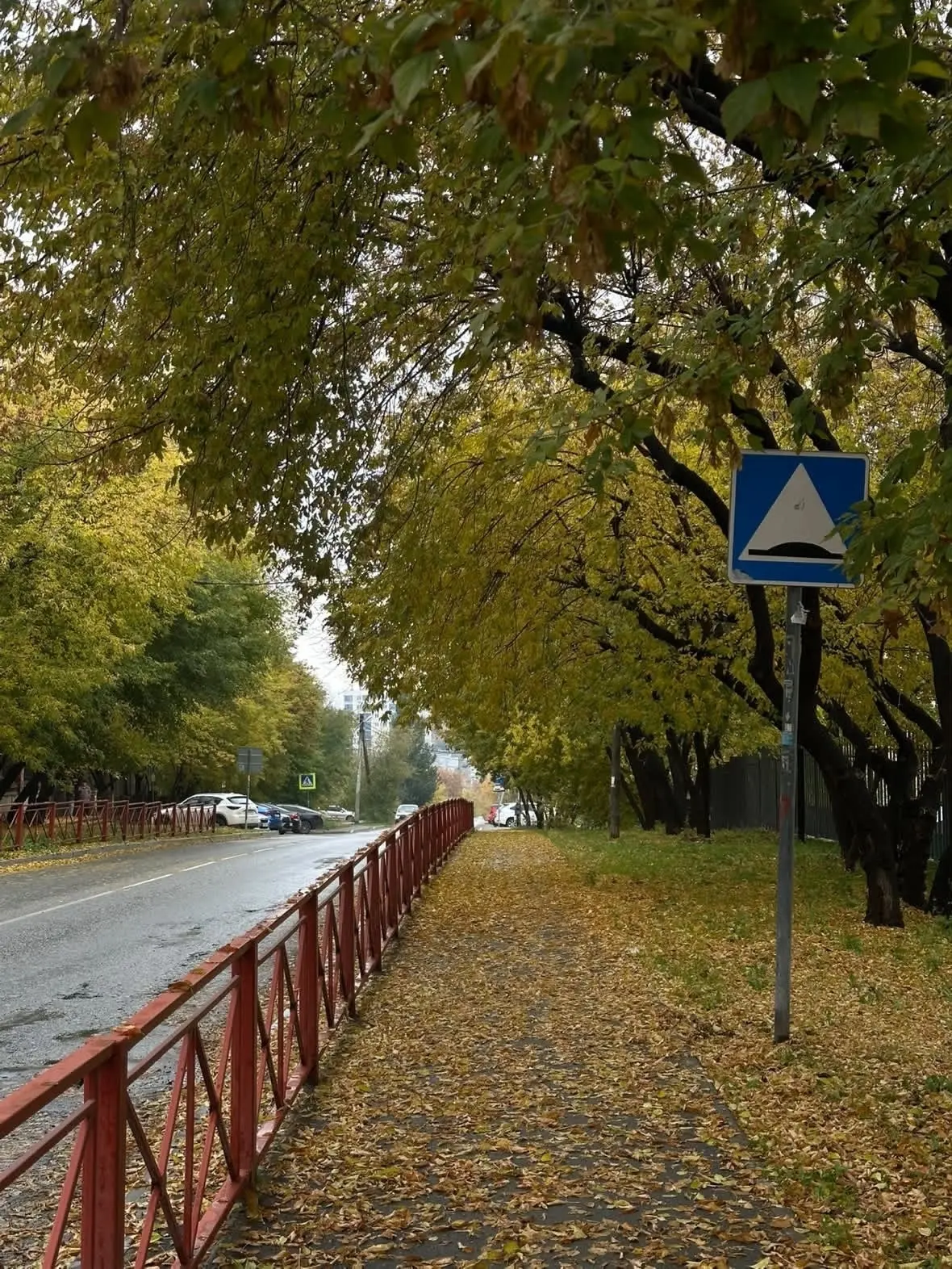 Осенние улочки города🏙️🌳🍂