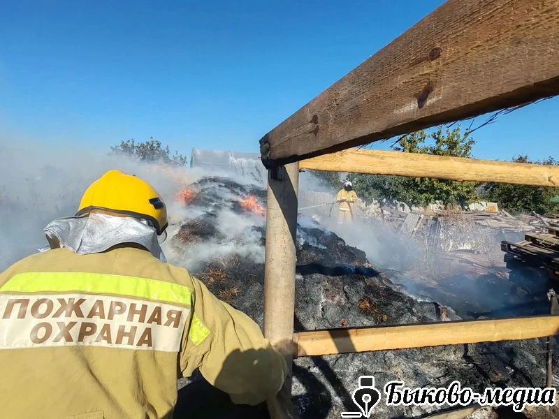 В Новоникольском потушили пожар и не допустили уничтожение жилого дома | Быково-медиа h...