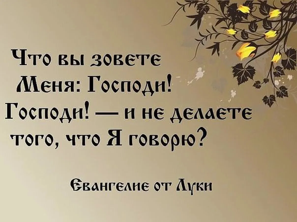 Хорошо поступают те родители, которые с самого раннего возраста прививают своим детям и...