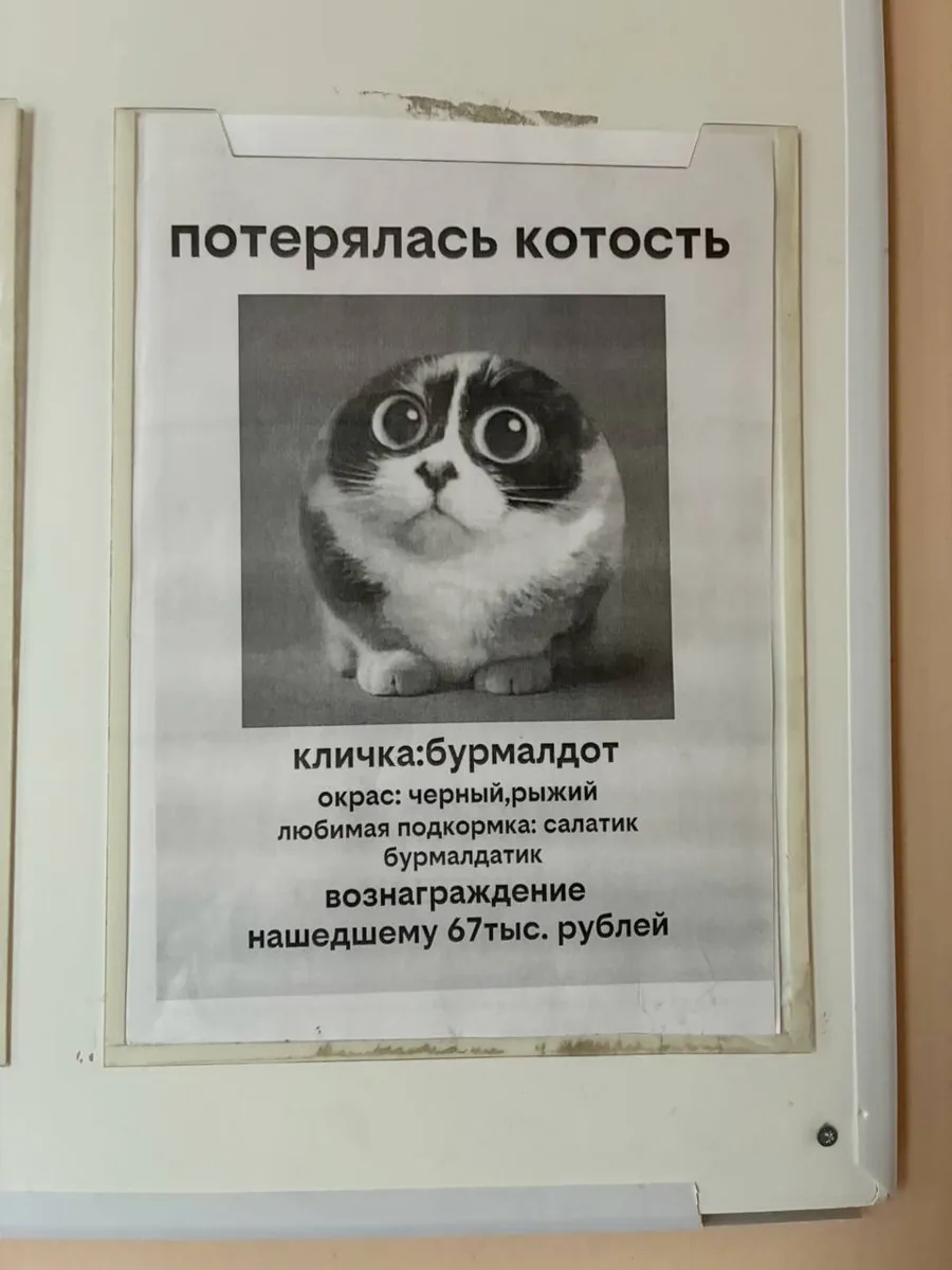 🤝 Дружба теперь в директе