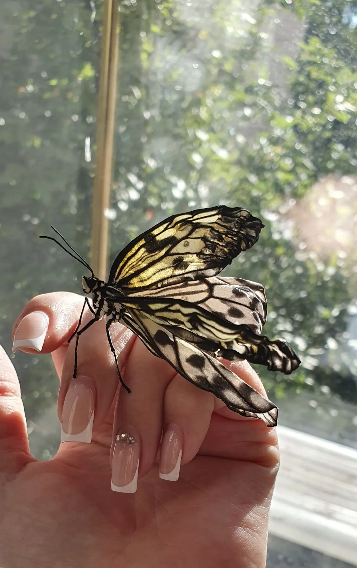 🦋🦋🦋 Никто из нас не знает, сколько страниц осталось в нашей книге. Но в наших силах ...