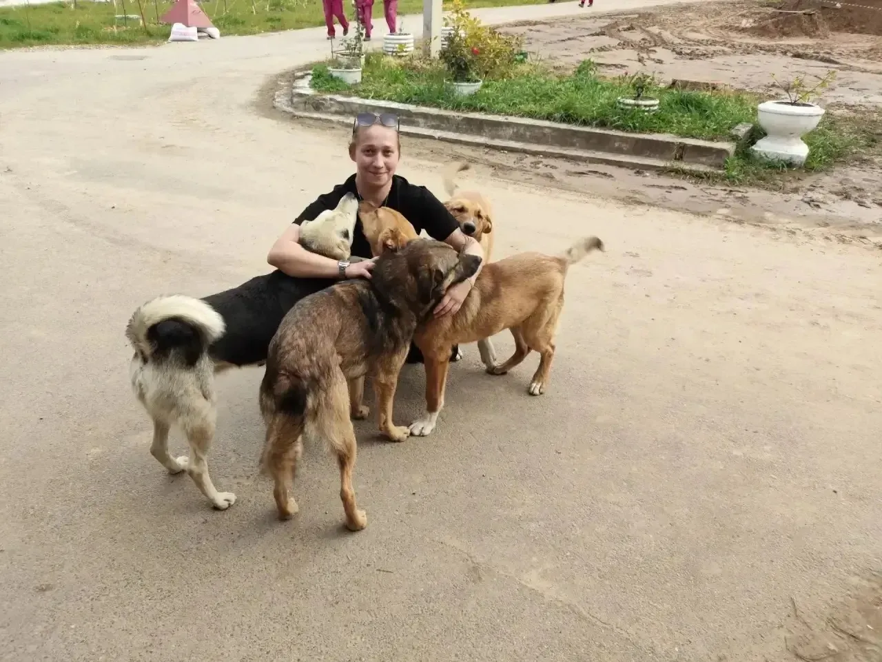 Здравствуйте,пожалуйста прошу выложите,4 собаки на заводе очень ласковые,добрые,кушают ...
