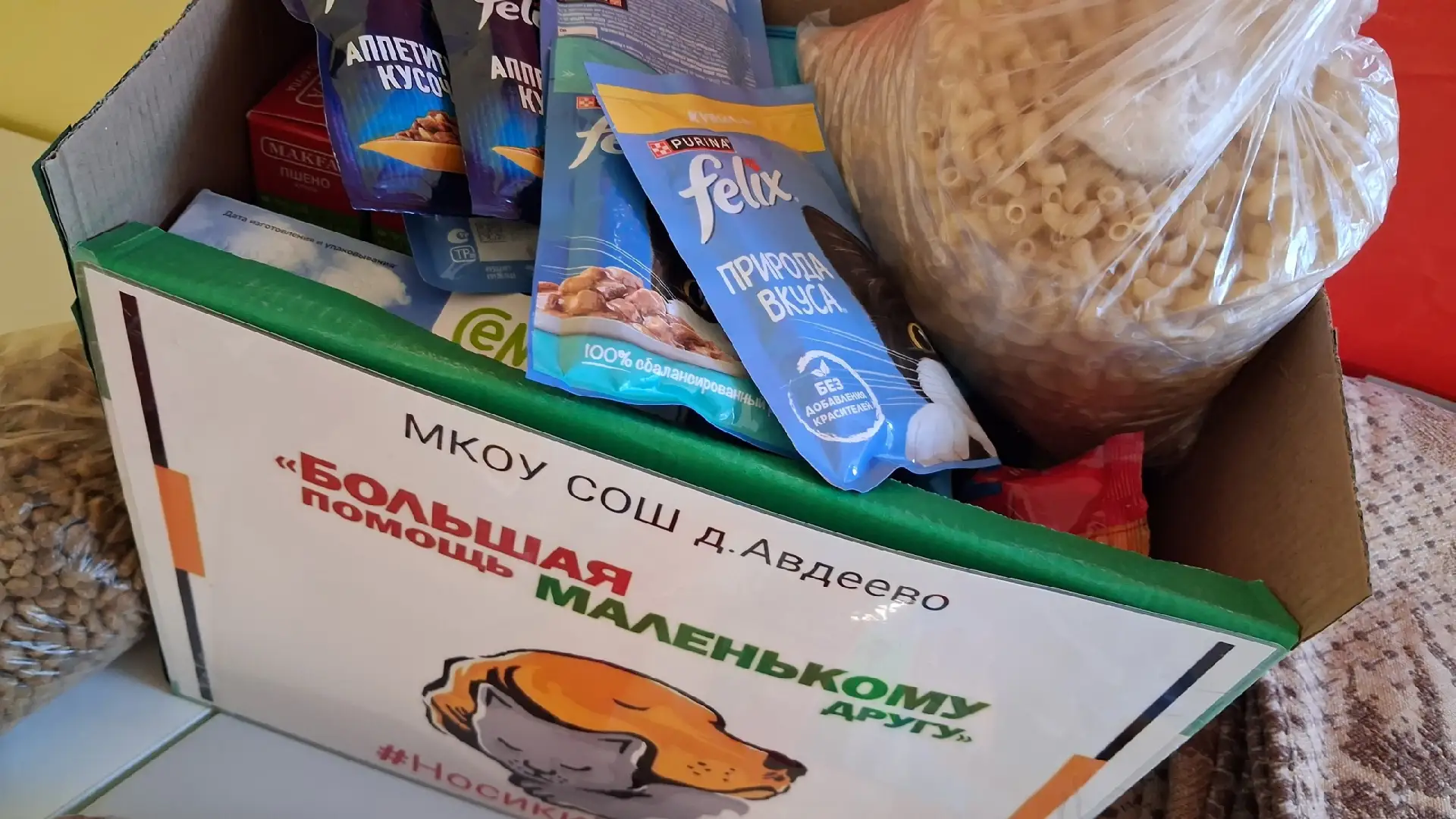 Большая помощь маленькому другу: итоги нашей доброй акции! 🐕🐾