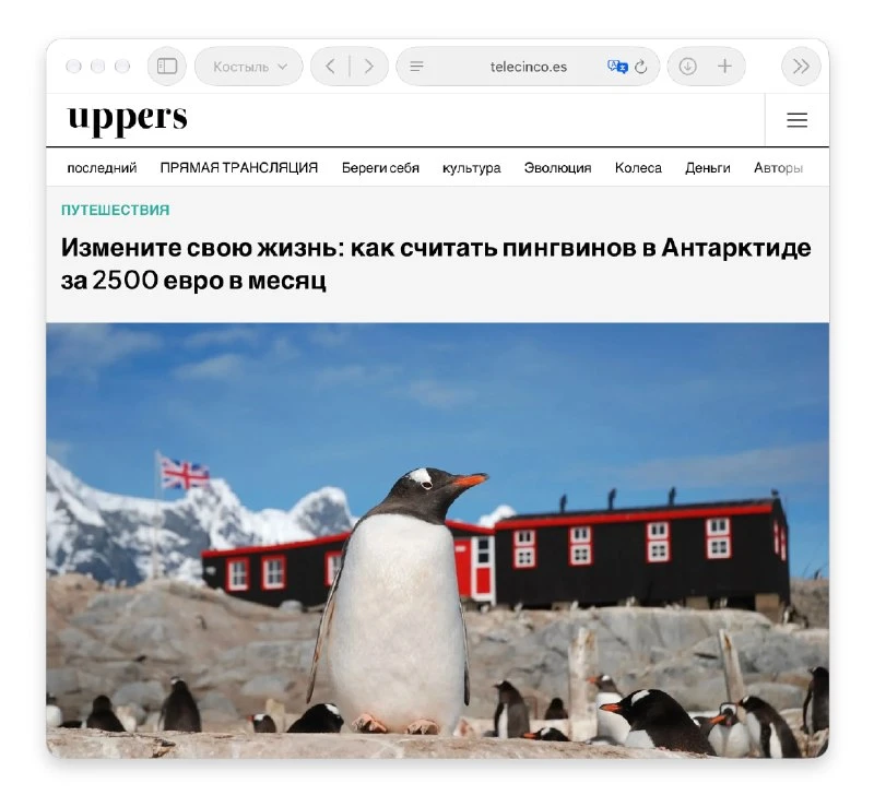 В Антарктиде ищут смотрителя пингвинов на зарплату 2⃣3⃣🅾 тысяч рублей в месяц. Почти п...