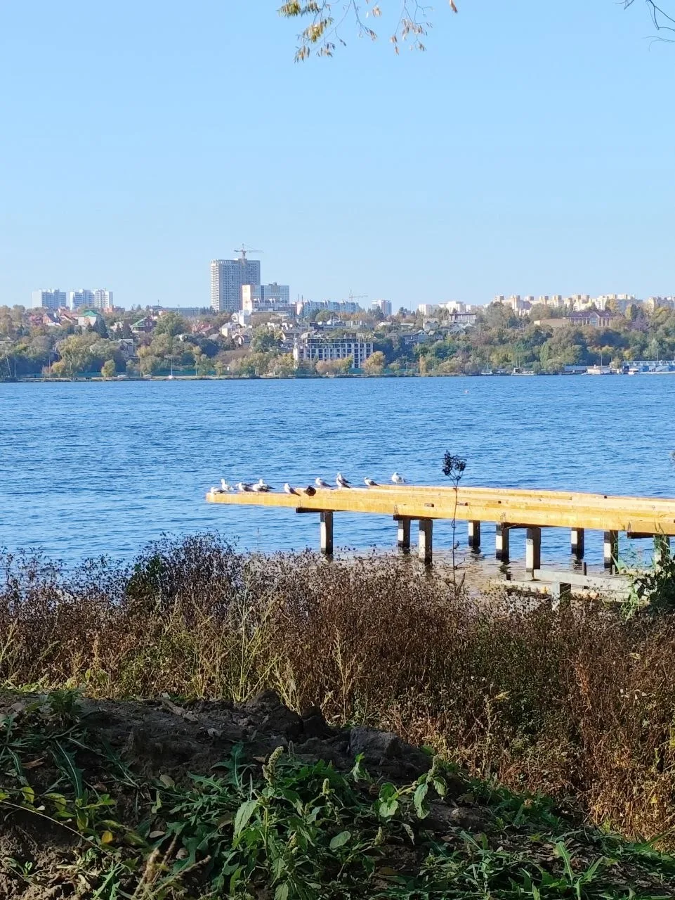 трогала природу 🍂