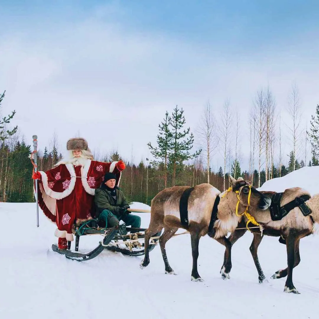 🎄Ещё не определились с планами на Новый год?