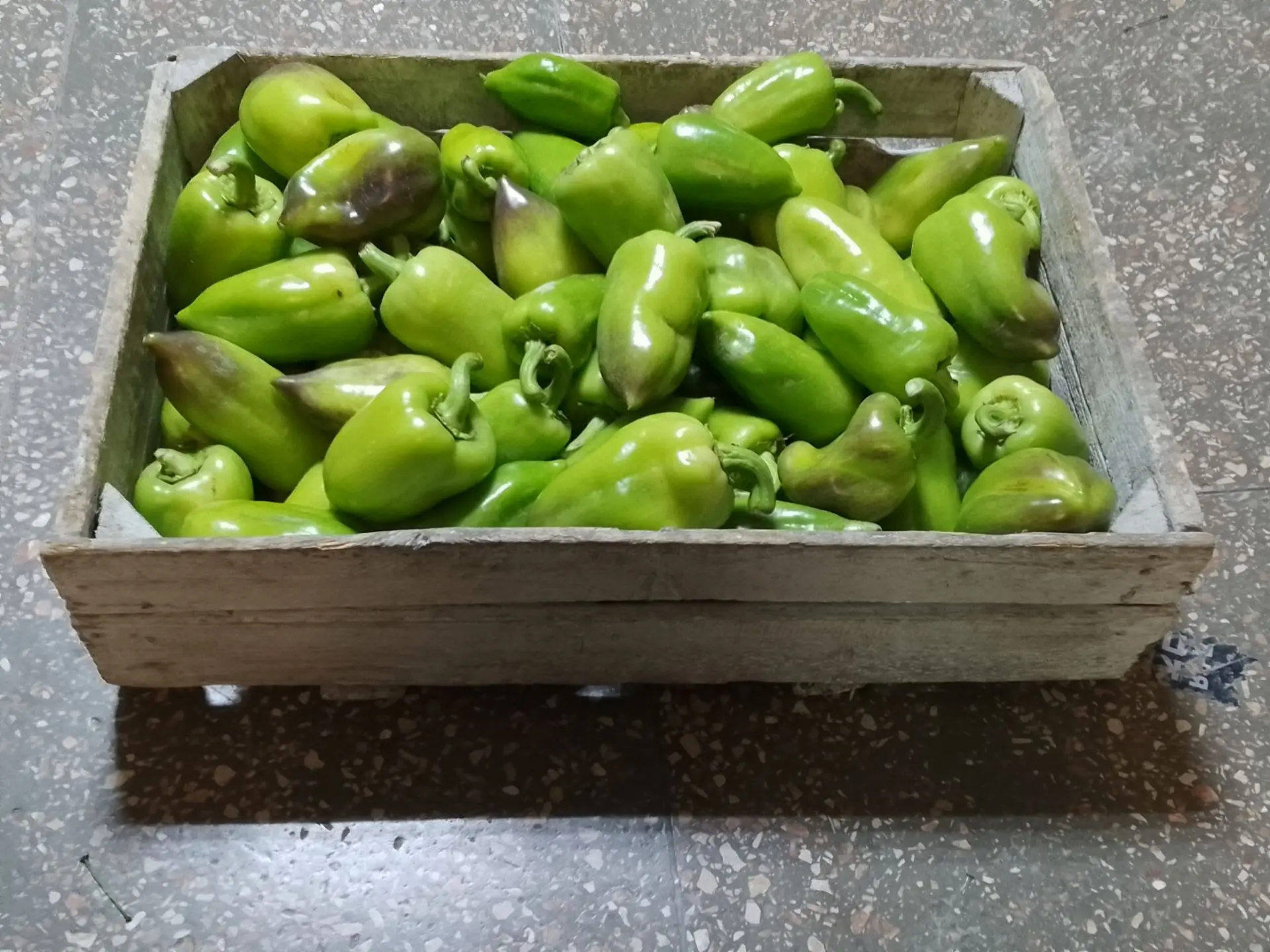 От Любови Семёновны перец передали на приготовления чего  - нибудь вкусненького. 🤝