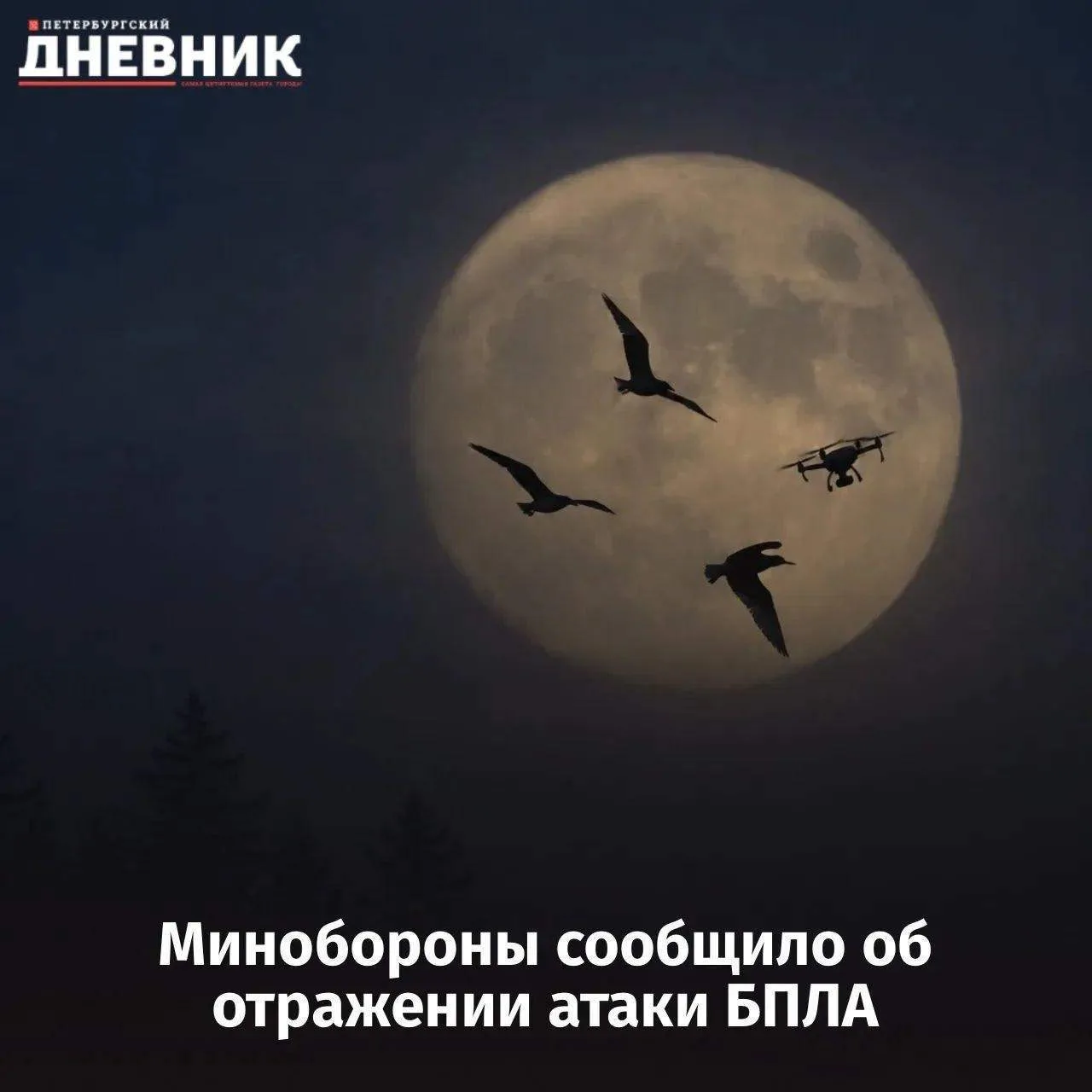 🚨 Минобороны сообщило об уничтожении 604 БПЛА за 12 часов